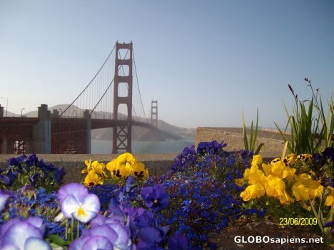 Postcard Golden Gate from my camera!