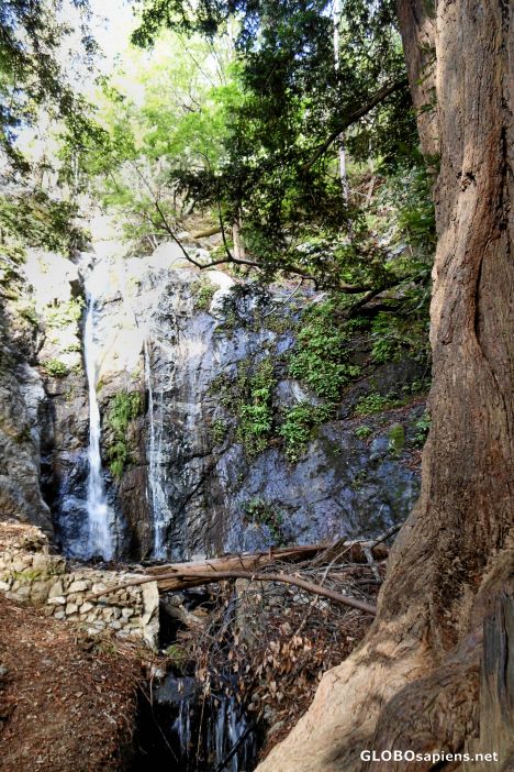Postcard Pfieffer Falls, Pfeiffer Big Sur State Park