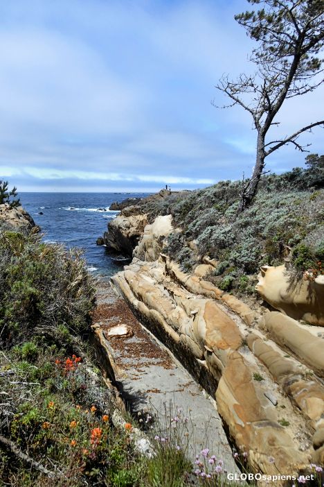 Postcard South Shore Trail, Point Lobos State Reserve