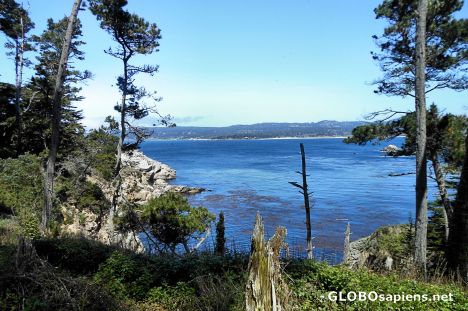 Postcard North Shore Trail, Point Lobos State Reserve