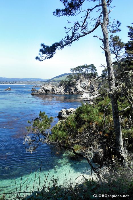 Postcard North Shore Trail, Point Lobos State Reserve