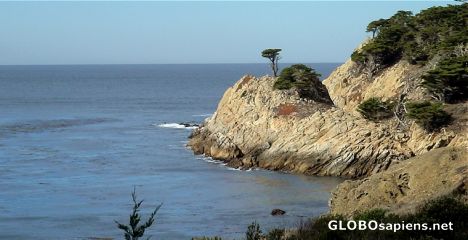 Postcard Carmel coastal landscape