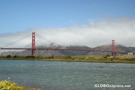 Postcard The Golden Gate