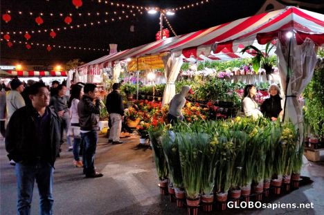 Flower Vendor, Tet Cho Hoa Night Market