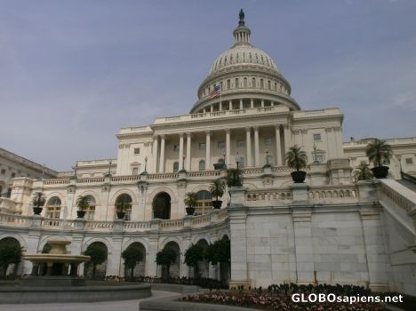 Washington Capitol Close-up