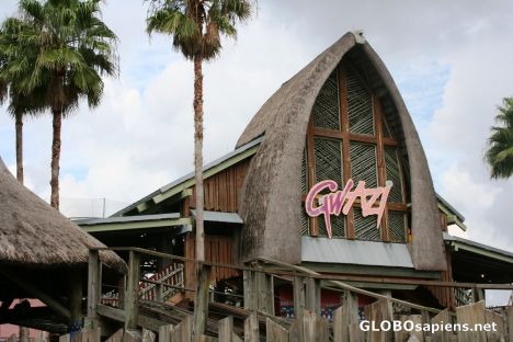 Postcard Busch Gardens; The Gwazi