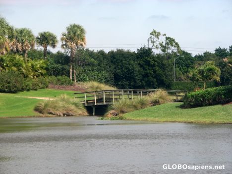 Postcard Golf Course Architecture in Boca