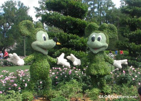 Postcard Walt Disney World - Welcoming Topiary