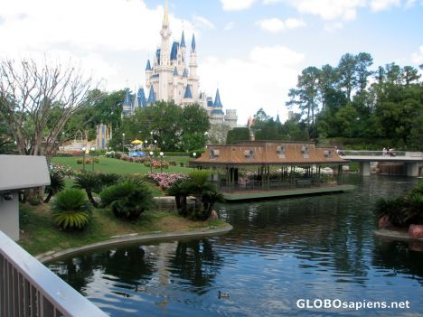 Postcard Walt Disney World - The Magic Kingdon