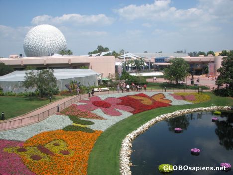 Postcard Walt Disney World - Epcot Center