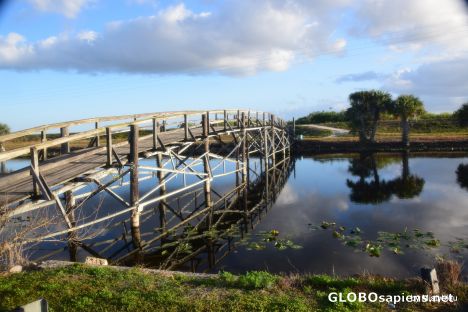 Postcard The wooden bridge Everglades