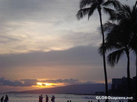 Postcard Honolulu Sunset