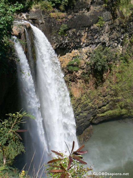 Postcard Wailua Falls