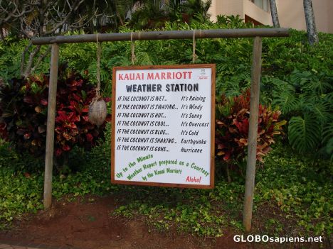 Postcard Hawaii weather forecast