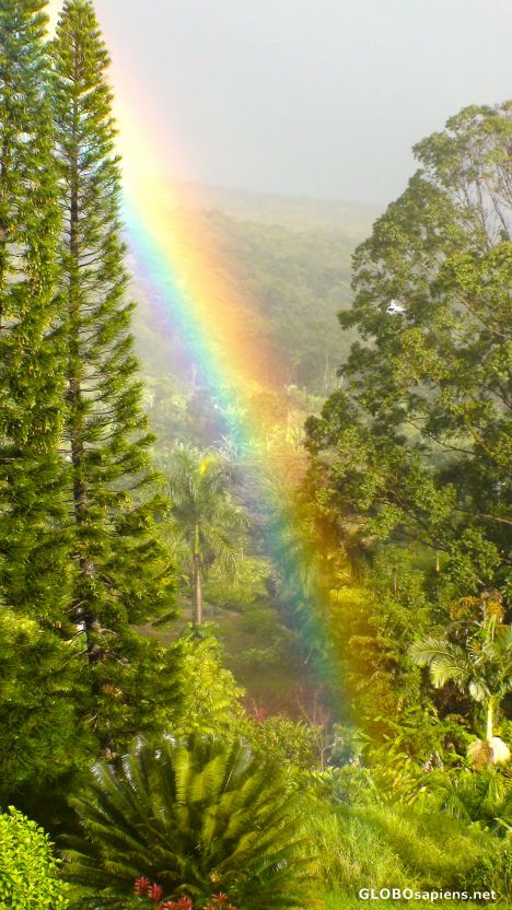 Postcard Magical Maui Rainbow at Hana