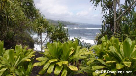 Postcard Rugged Hawai Coastline