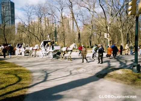 Postcard Central Park..