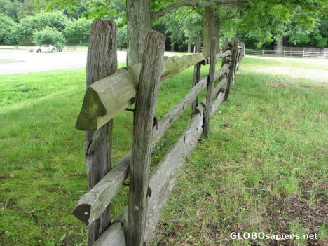 Postcard Sagamore Hill - A Fence Untouched by Time
