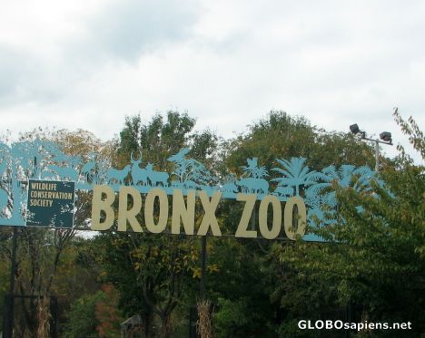 Postcard The Bronx Zoo