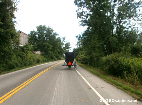 Postcard Amish Carriage on Route 62