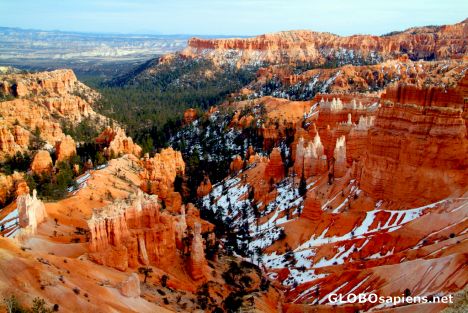 Postcard Bryce Canyon - Green, red and white