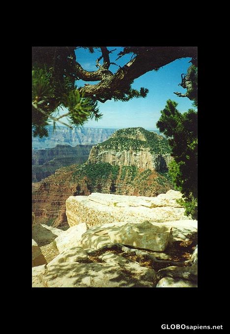 Postcard Grand Canyon Ledge