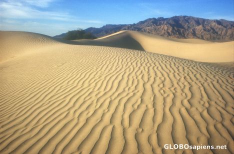 Postcard Sand Dune