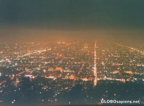 Postcard Hollywood Night