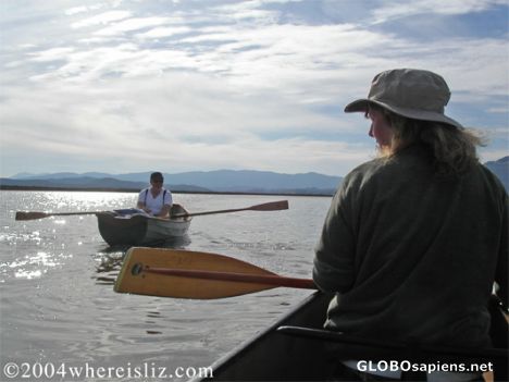 Postcard Rowing on the Petaluma River, California
