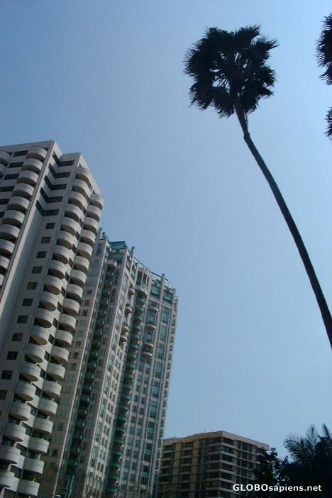 Postcard L.A. Tower