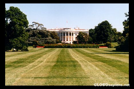 Postcard Washington DC White House