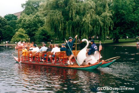 Postcard Boston Public Garden Swan Boats
