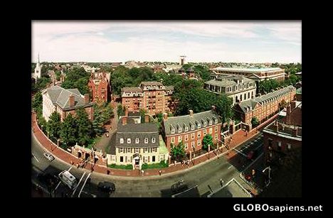 Postcard Harvard