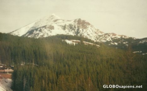 Postcard Glacier National Park