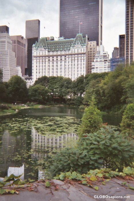 Postcard Central Park Plaza Hotel View