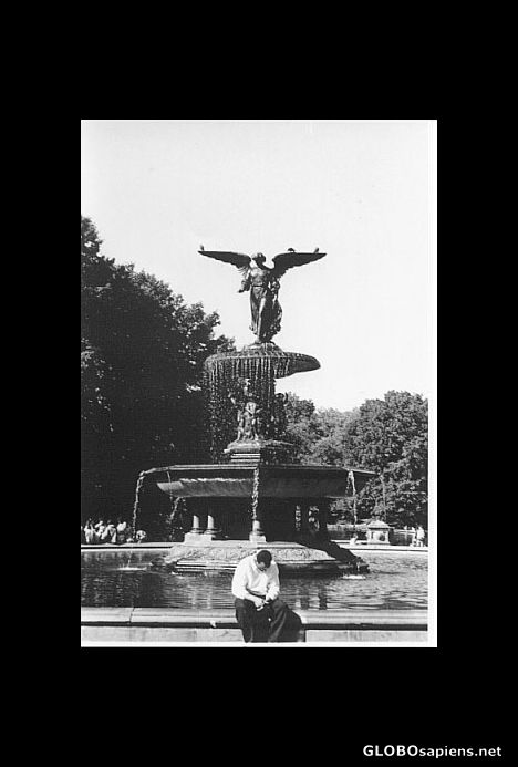 Postcard The Bethesda Fountain