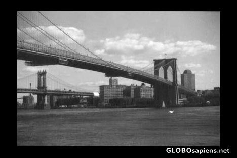 Postcard brooklyn bridge