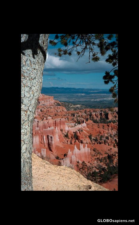 Postcard Bryce Canyon National Park, Utah, USA