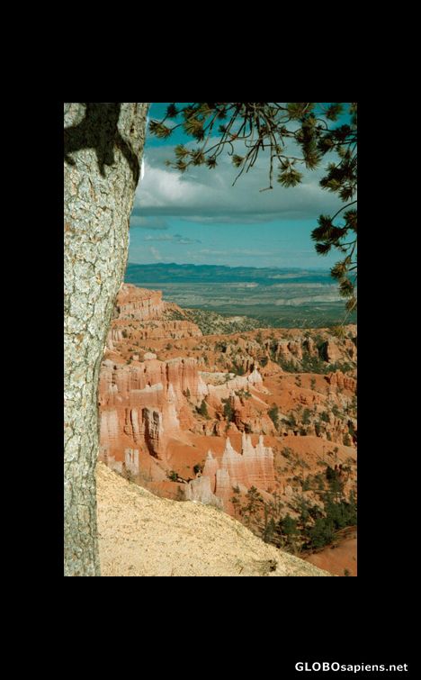 Postcard Bryce Canyon National Park, Utah, USA