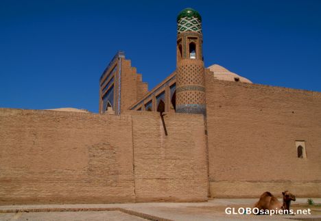 Postcard Khiva - camel
