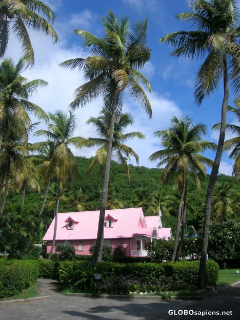 Postcard Pink houses
