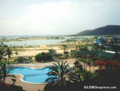 Postcard View from Lagunamar