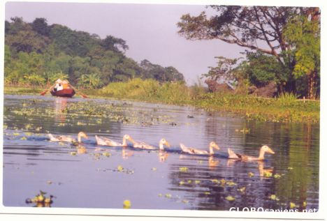 Postcard Vietnam Picture for gloriajames