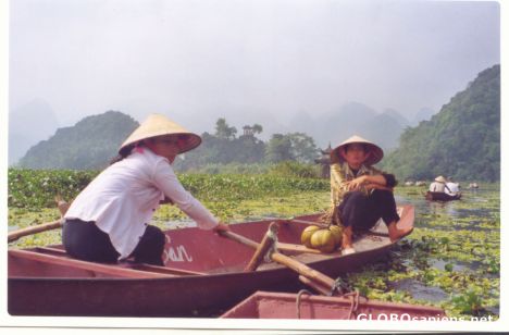 Postcard women rowing