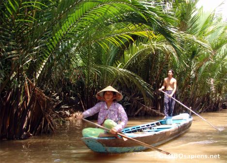 Postcard Sampan in the Mekong Delta
