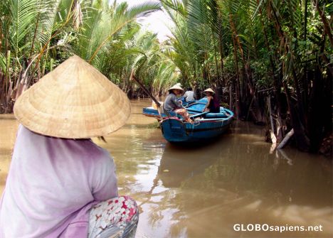 Postcard Sampans in the Mekong Delta