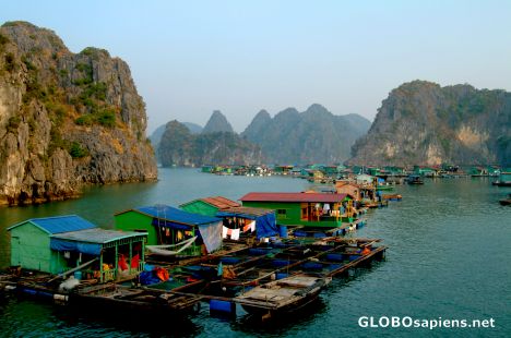 Postcard Ha Long Bay - Floating town