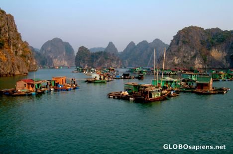 Postcard Ha Long Bay - Floating village