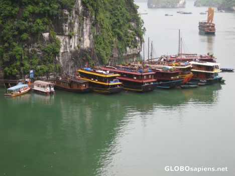 Postcard Boats on Halong Bay