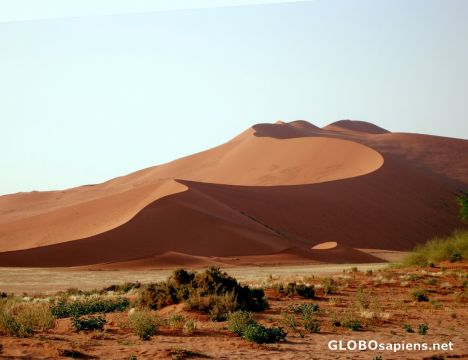 Postcard Sand dunes of Sossusvlei